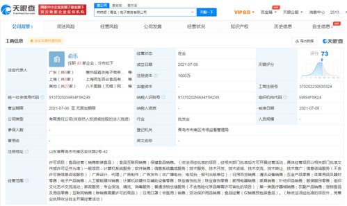 网络技术服务 数字时代的隐形引擎