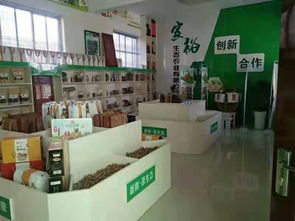 陇小南电商双十一狂欢盛宴 开启食品互联网销售新体验