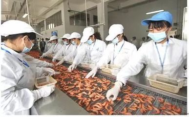 看烟台 产业融合驱动海洋经济高质量发展——食品互联网销售的创新实践