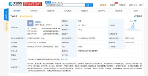 网络技术服务的多元价值与未来趋势
